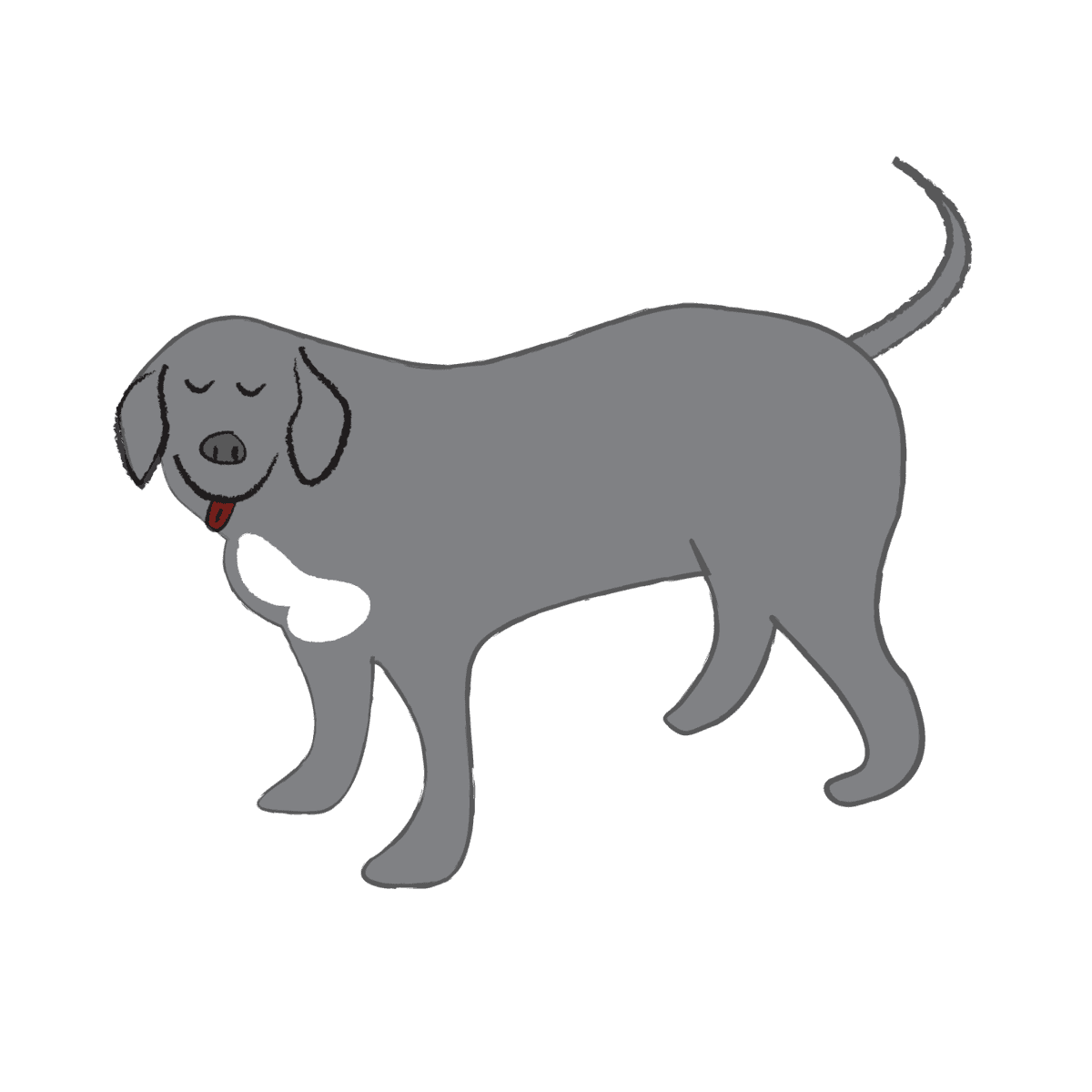 sammydog-hound for hound icon dog walking sammydog-hound for hound icon dog walking